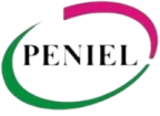 Peniel Expert Solutions Limited